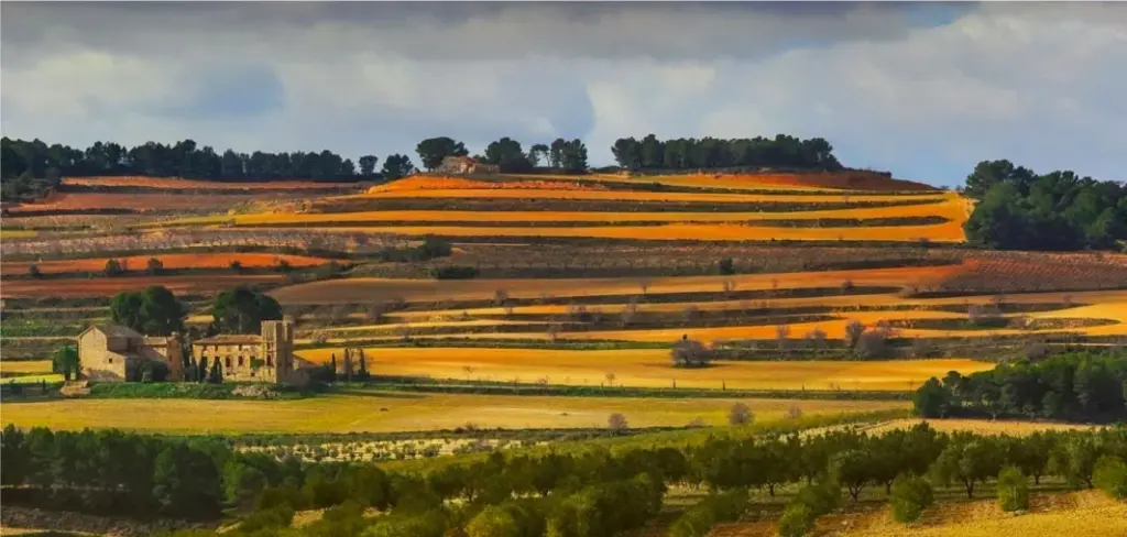 Bodega Celler del Roure