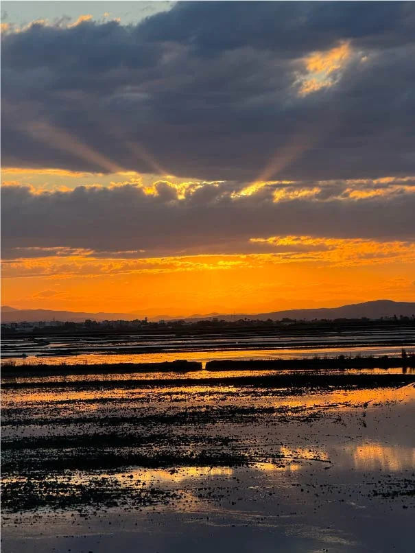 excursion albufera