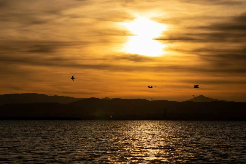 excursion por la albufera