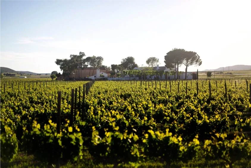 bodegas con encanto comunidad valenciana