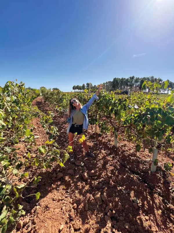 bodegas con encanto