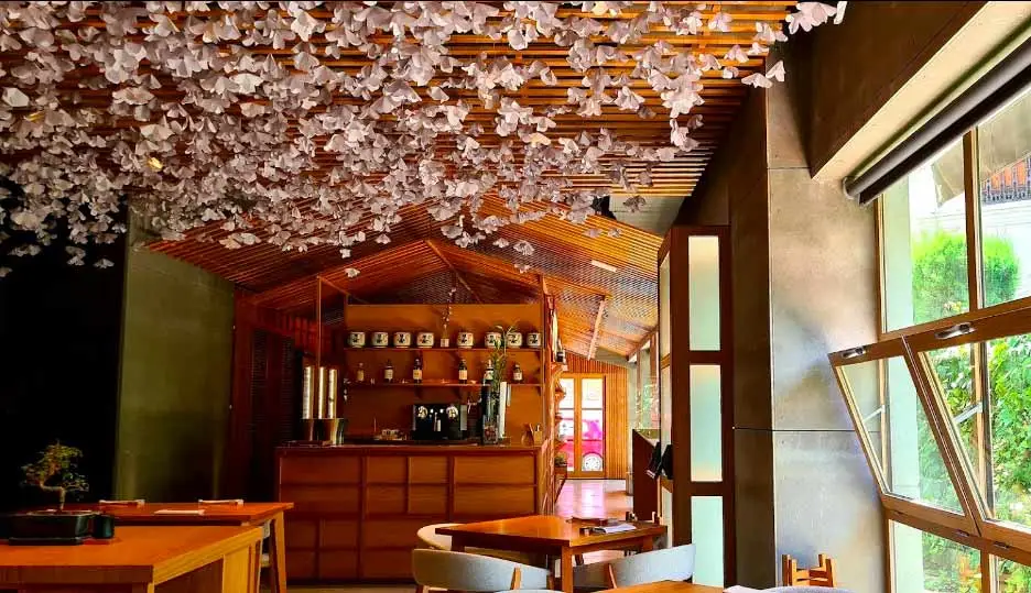 nozomi sushi valencia